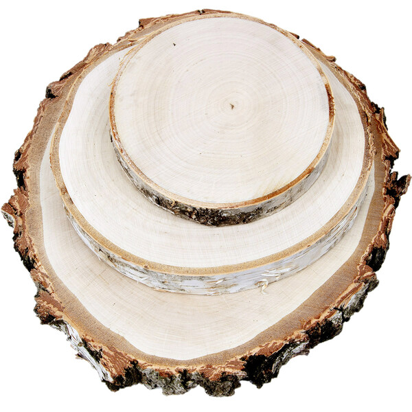 Baumscheiben 3 Stck groe Birkenscheibe  15 bis 35 cm geschliffen Holzscheiben