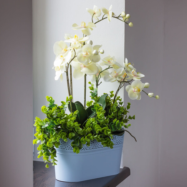 Topf und Schale Blumentopf 4,7 Liter bertopf 15,5 cm hoch Orchideentopf Spitzenkante